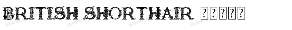 british shorthair字体转换